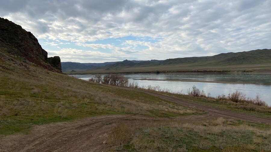 Tamgaly Tas and City of Nomads: One Day Trip