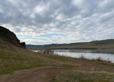 Tamgaly Tas and City of Nomads: One Day Trip
