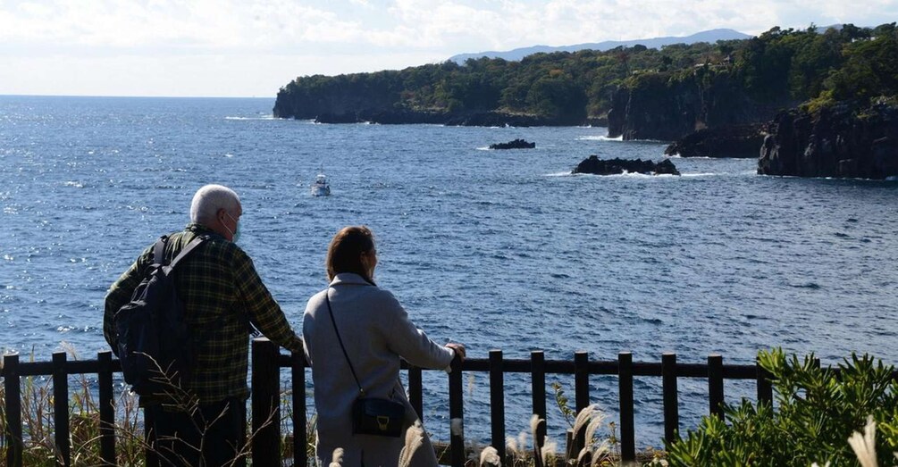 Picture 5 for Activity Izu Peninsula: Jogasaki Coast Experience