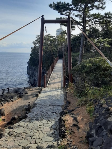 Picture 7 for Activity Izu Peninsula: Jogasaki Coast Experience