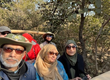 Desde Jaipur: excursión privada de un día a Ranthambore con Tiger Safari