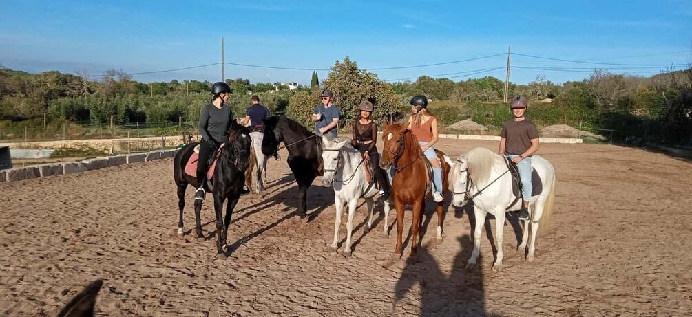 Picture 3 for Activity Mallorca: Mallorca sunset, Randa Valley.