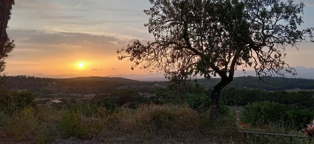 Picture 2 for Activity Mallorca: Mallorca sunset, Randa Valley.