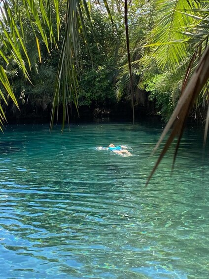 Picture 3 for Activity Materuni Waterfalls, Coffee, and Hotsprings Tour