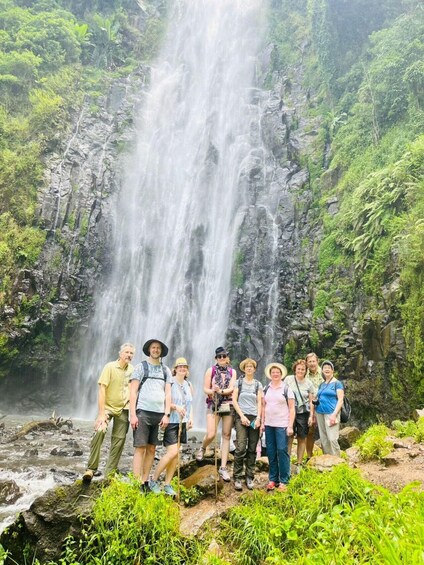 Picture 2 for Activity Materuni Waterfalls, Coffee, and Hotsprings Tour