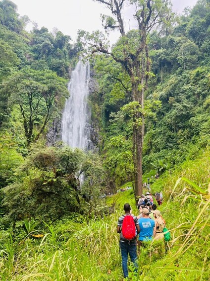 Picture 9 for Activity Materuni Waterfalls, Coffee, and Hotsprings Tour