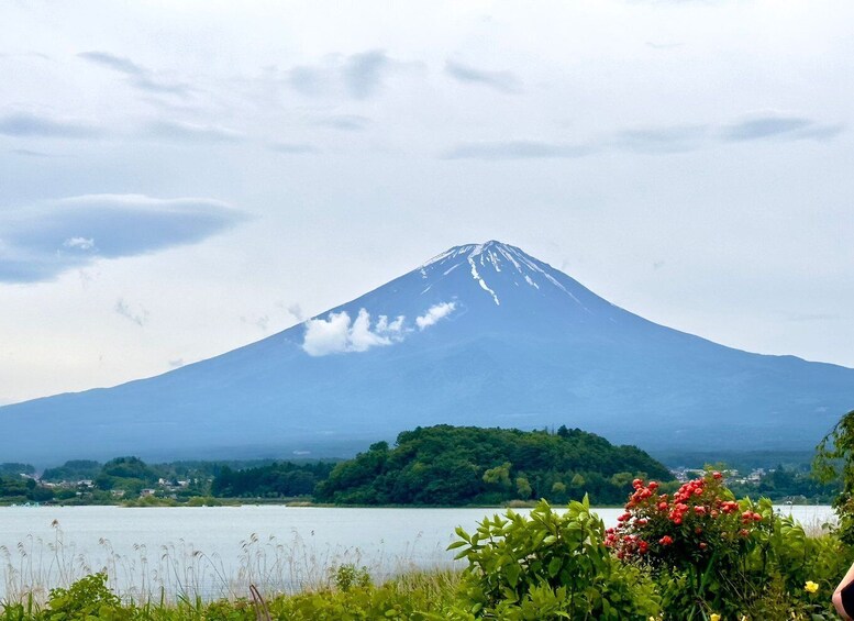 Picture 5 for Activity Mount Fuji Hakone with English-speaking Guide