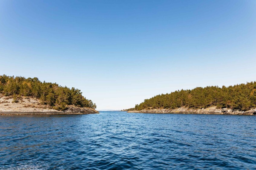 Picture 1 for Activity From Stavanger: Lysefjord Sightseeing RIB Boat Tour