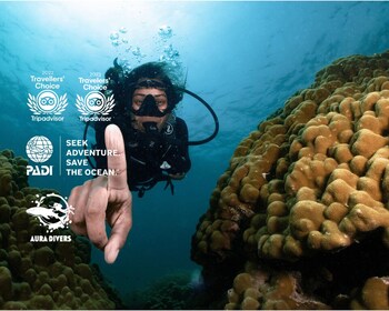 Isla Daymaniyat: ¡Aventura de buceo con 2 buceos!