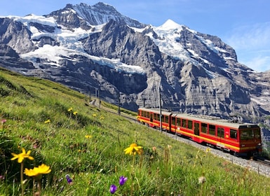 Jungfraujoch (Tour Private)