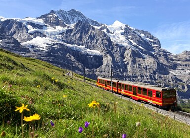 Jungfraujoch (Tour Private)