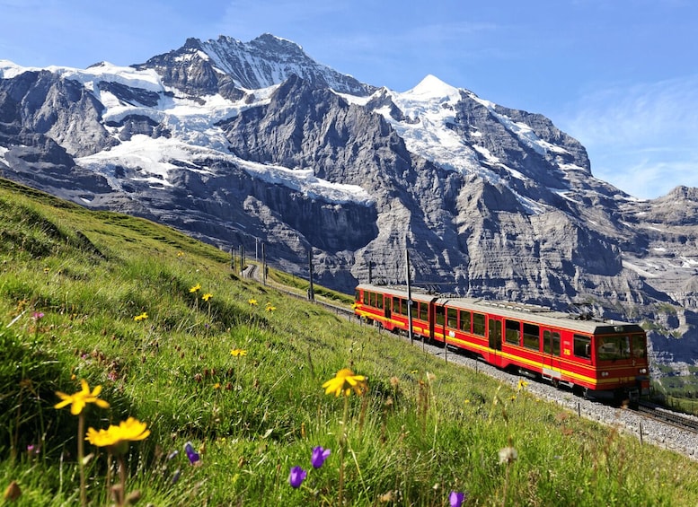 Jungfraujoch (Tour Private)