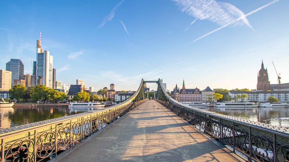 Picture 3 for Activity Frankfurt: Private History Tour with a Local Expert