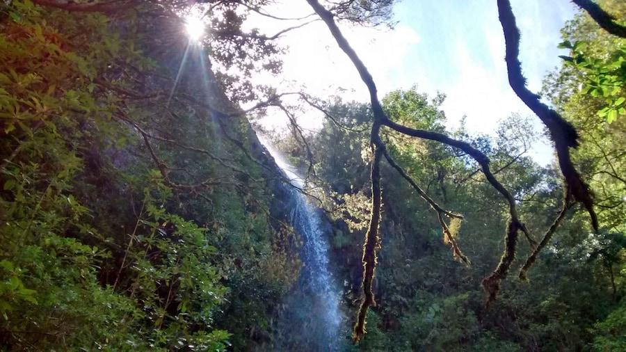 Rabaçal: Lagoa do Vento, Levada Risco and Levada 25 Fontes