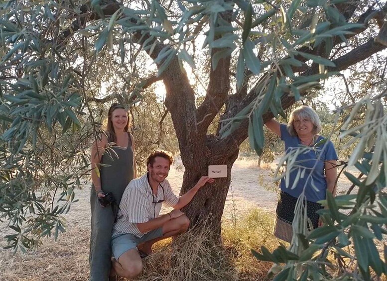 Picture 2 for Activity Olive oil tasting with seminar in Metaggitsi - Halkidiki.