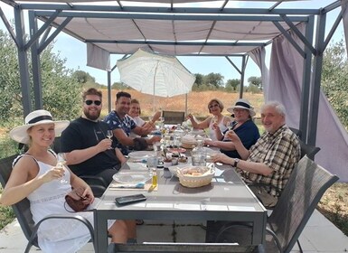 Olive oil tasting with seminar in Metaggitsi - Halkidiki.