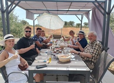 Olive oil tasting with seminar in Metaggitsi - Halkidiki.