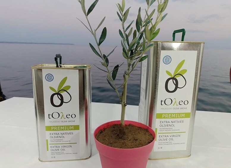 Picture 1 for Activity Olive oil tasting with seminar in Metaggitsi - Halkidiki.