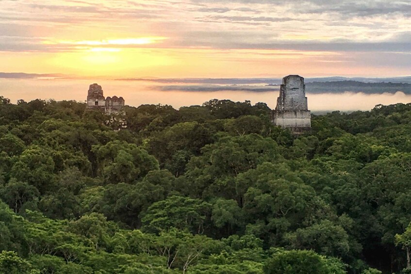 Picture 1 for Activity From Flores: Tikal Sunrise Tour