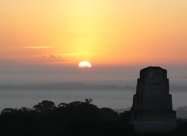 From Flores: Tikal Sunrise Tour