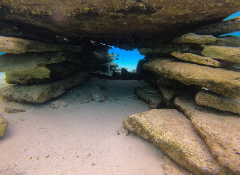 Picture 4 for Activity San Andres: Boat Tour to Cayo Acuario and Rocky Cay