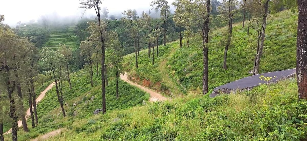 Picture 2 for Activity Kandy to Nuwaraeliya 3D Trekking pekoe trails Stage 1-2-&-3