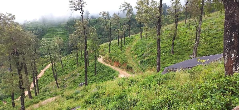 Kandy to Nuwaraeliya 3D Trekking pekoe trails Stage 1-2-&-3