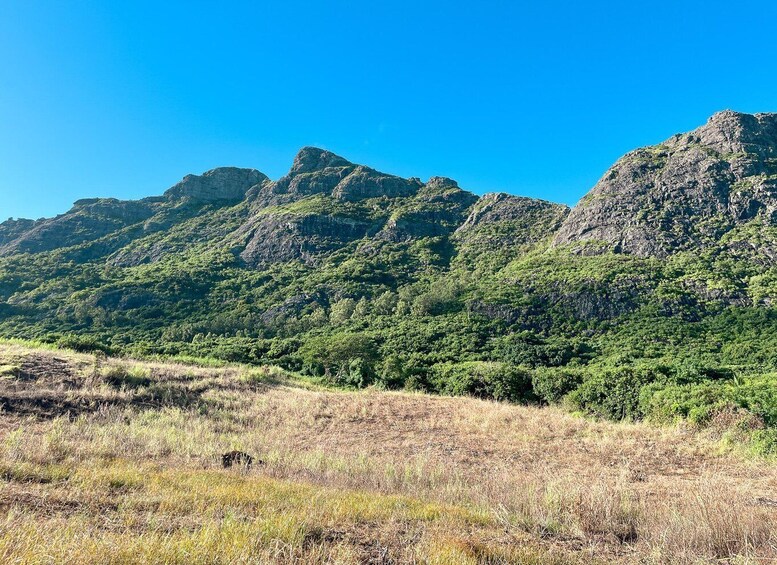 Picture 29 for Activity Mauritius: Hike and Climb Trois Mamelles Mountain