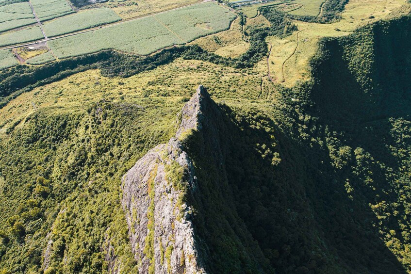 Picture 13 for Activity Mauritius: Hike and Climb Trois Mamelles Mountain