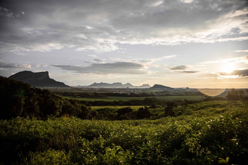 Picture 22 for Activity Mauritius: Hike and Climb Trois Mamelles Mountain