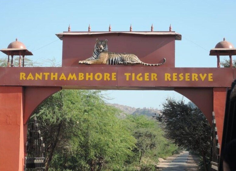 Picture 2 for Activity Ranthambore WildLife (tiger safari)Full Day Tour From Jaipur