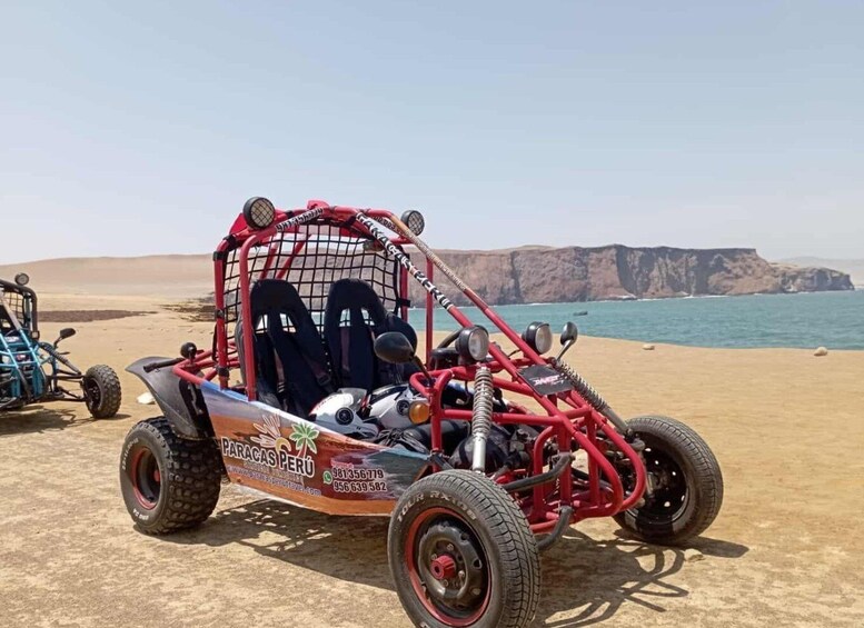 Picture 1 for Activity From Paracas || Buggy ride in the southern Paracas desert