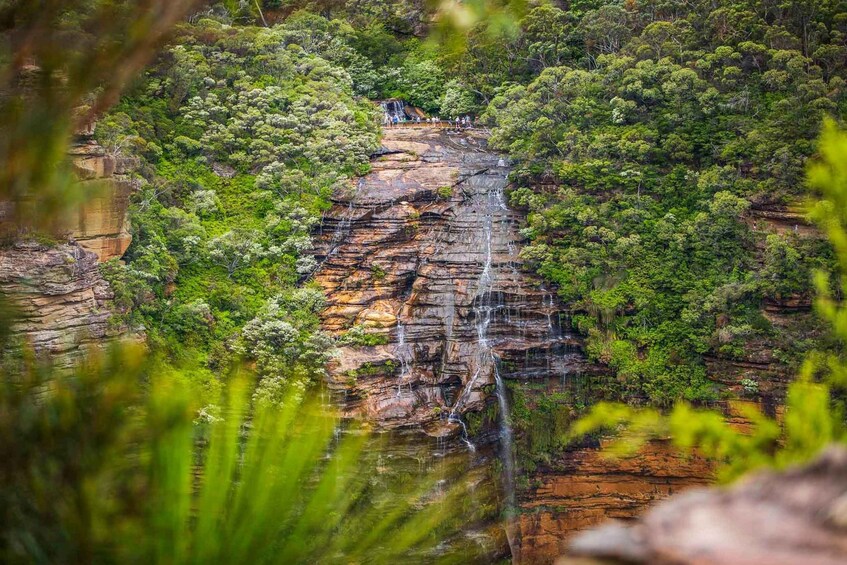 Picture 1 for Activity Private Blue Mountains Escape The Crowds Tour