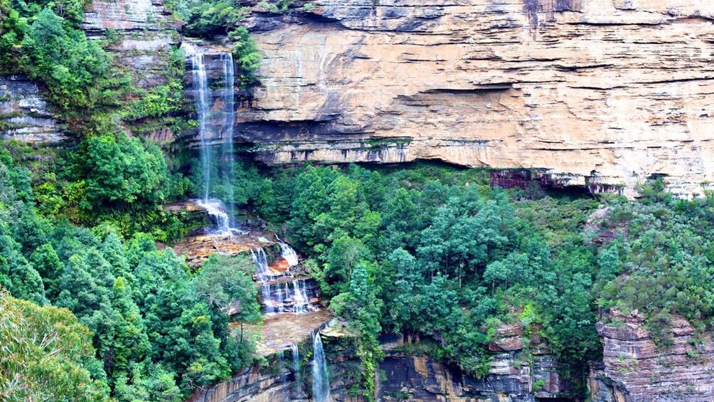 Picture 3 for Activity Private Blue Mountains Escape The Crowds Tour