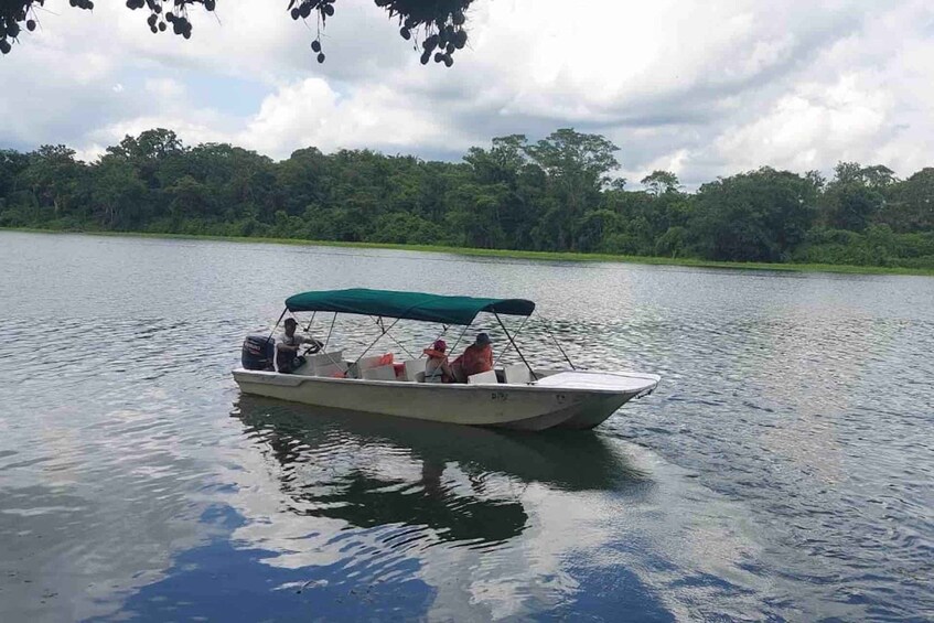 Picture 24 for Activity 2 Nights in Chagres Lodge + Monkey Tour + Canoe + Hike