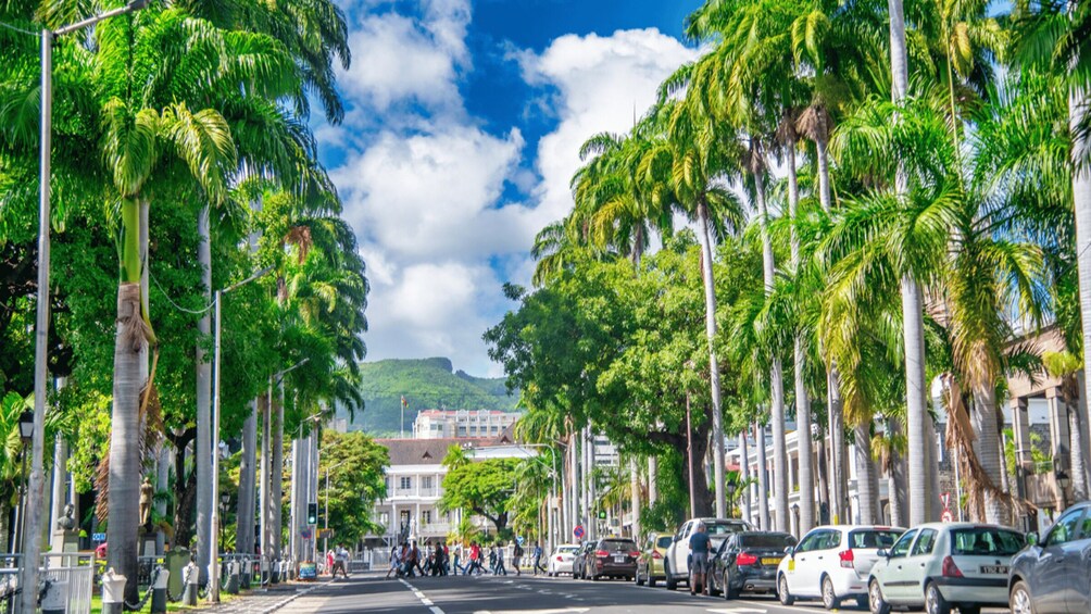 Unveiling the Ancient and Modern Port Louis - city tour