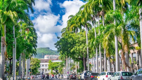 Unveiling the Ancient and Modern Port Louis - city tour