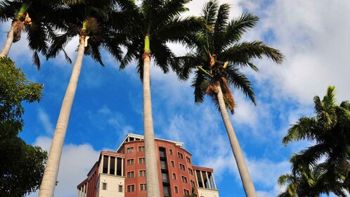 Unveiling the Ancient and Modern Port Louis - city tour