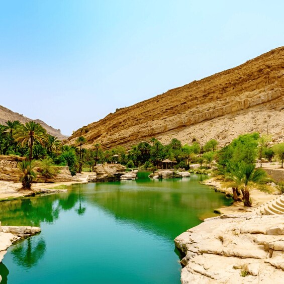 Picture 2 for Activity Muscat: Wahiba Sands Desert & Wadi Bani Khalid Full Day Tour