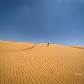 Muscat: Wahiba Sands Desert & Wadi Bani Khalid Full Day Tour