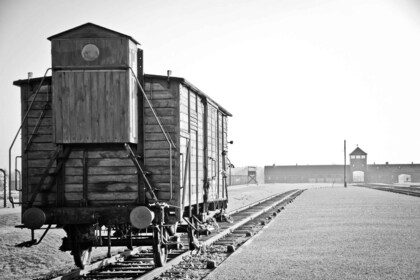 Krakova: Wieliczkan suolakaivoksen päiväretki: Auschwitz-Birkenau ja Wielic...