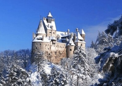 Brasov: tour de un día a los castillos de Bran, Peles y Cantacuzino