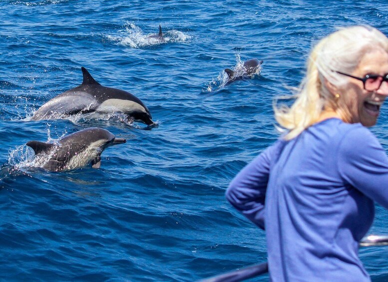 Picture 3 for Activity Dana Point Dolphin & Whale Watching With Underwater Viewing