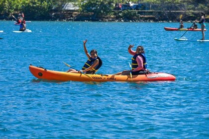 San Juan: visita guiada a la laguna del Condado en kayak/tabla de remo