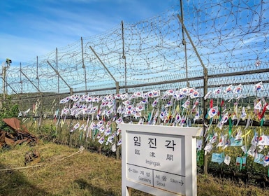 Seoul: DMZ, 3rd Tunnel, Odusan or Suspension Private Tour