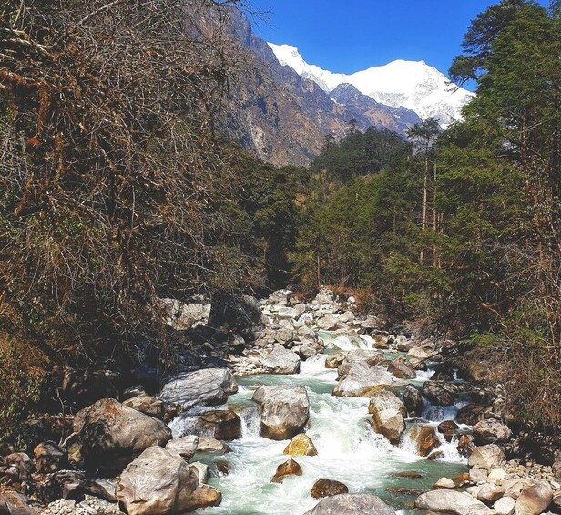 Picture 2 for Activity Pokhara: Natural Himalayan River Swim Experience Package