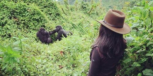 Ultimative 7-Tage-Tour Uganda + Ruanda -Gorilla Trek, Schimpanse