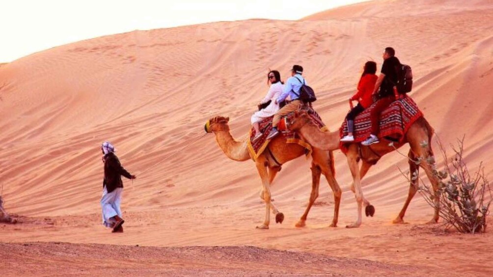 Picture 5 for Activity Qatar (Doha): City and Desert Safari Tour (Combo Package)