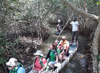 Cartagena, Colombia: Sail in the mangroves of Cartagena