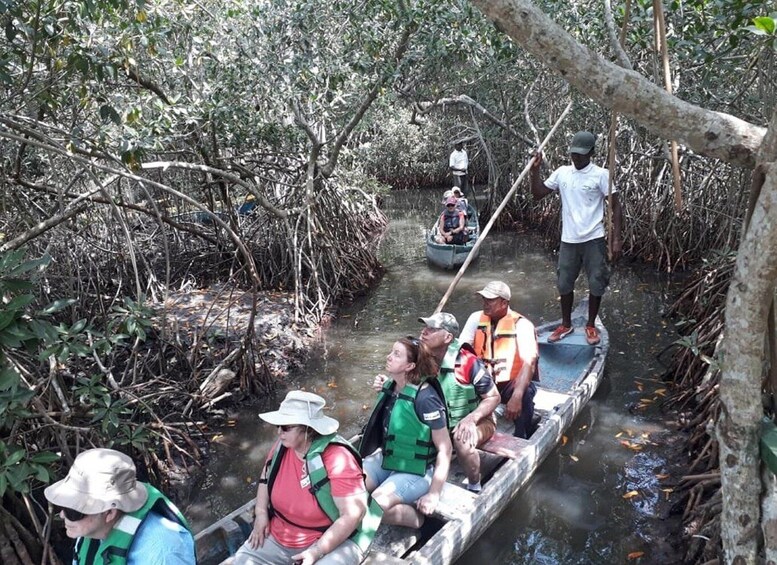 Picture 1 for Activity Cartagena, Colombia: Sail in the mangroves of Cartagena